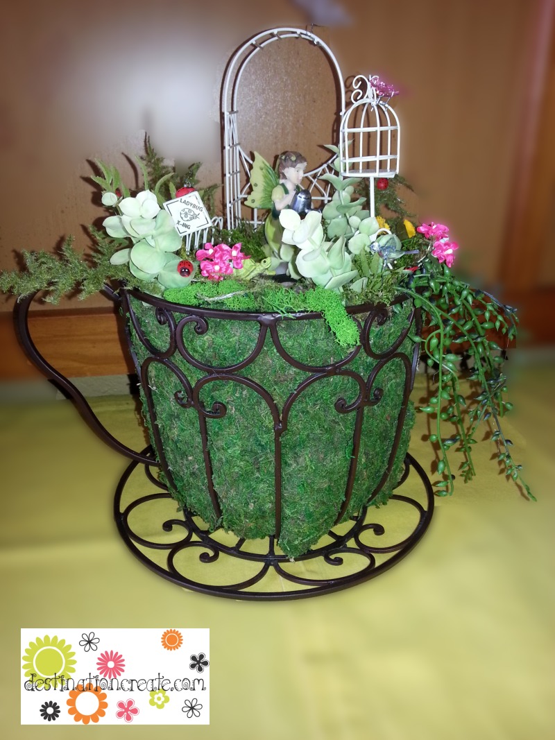 Fairy garden in a wire teacup