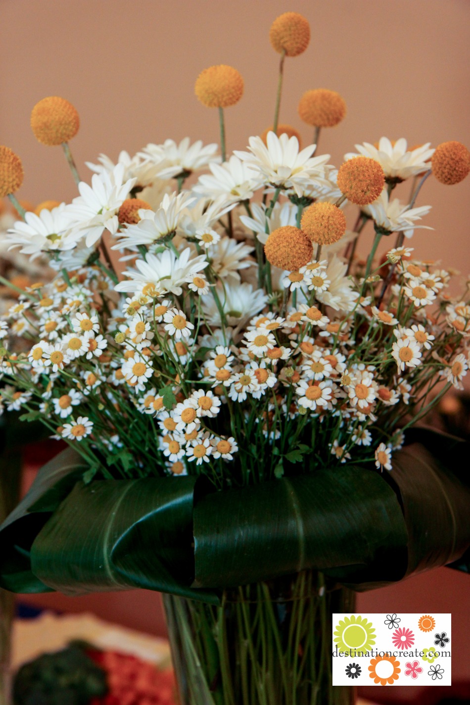 Yellow and blue wedding buffet centerpieces-white daisies, feverfew and yellow billy balls, Ti leaf collar.