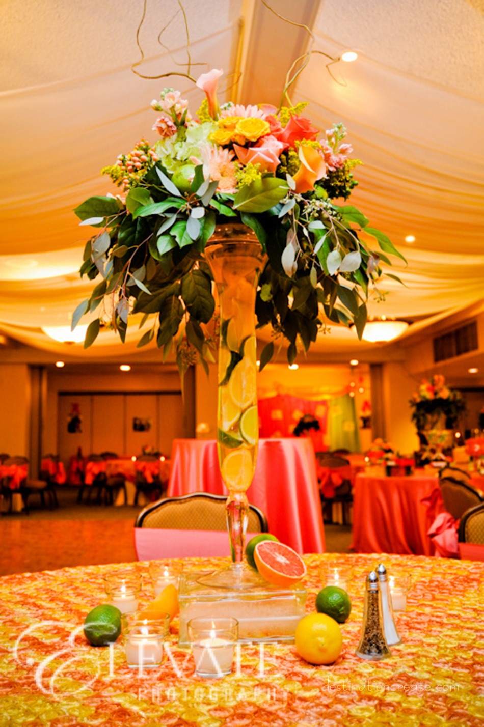 Citrus Centerpieces: Destination Create specializes in LDS wedding reception decorating, styling, planning & rentals.